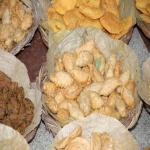 Vraj-Yatra-2014- (1012)